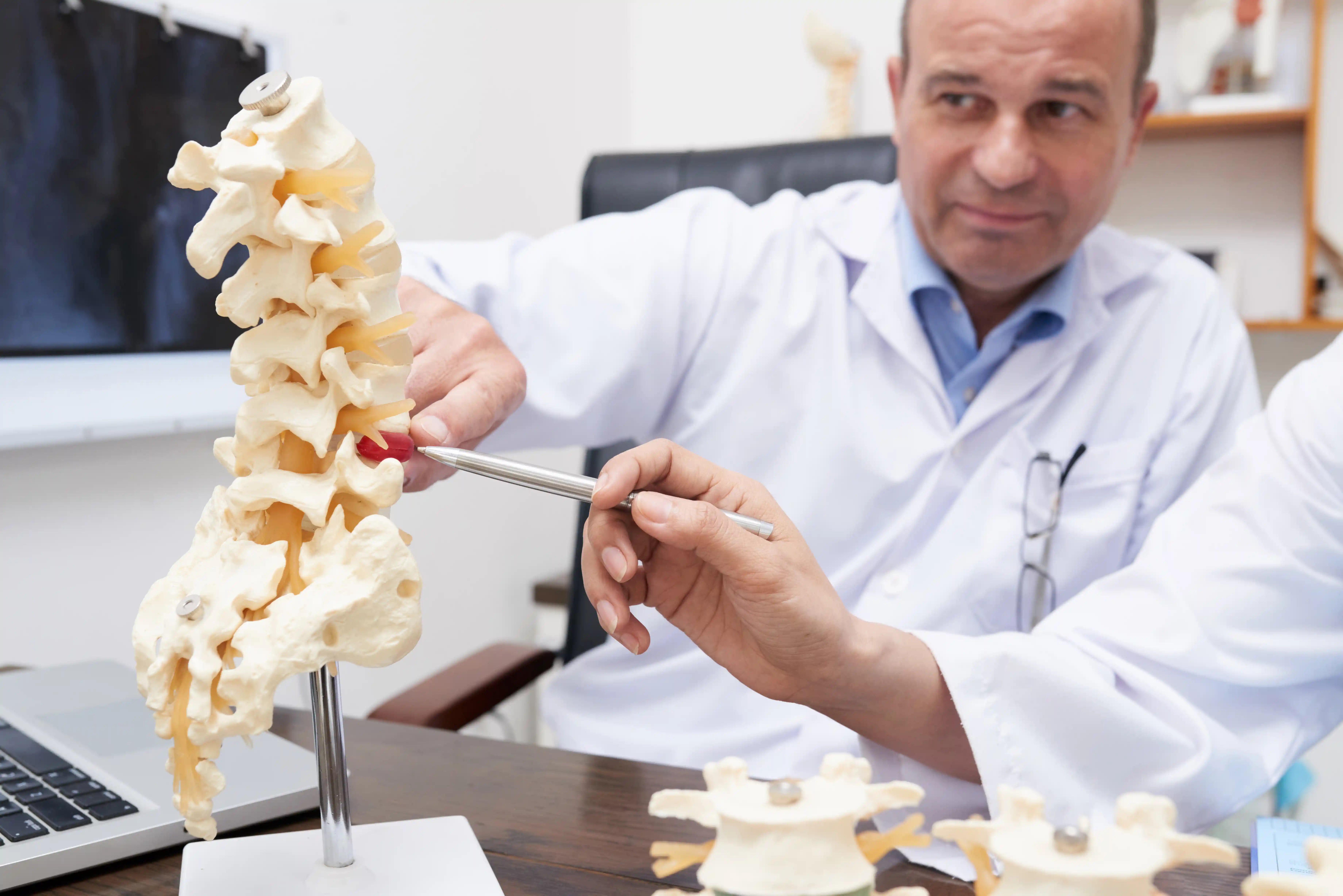  spinal-img-4
